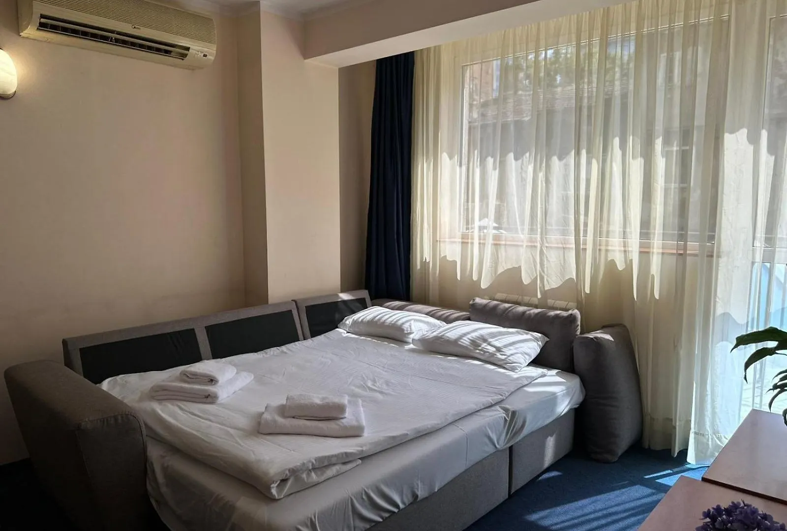 Central Plaza Hotel صوفيا